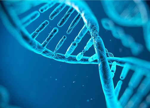 Gros plan sur une double hélice d’ADN représentant les analyses génétiques utilisées pour les tests de paternité