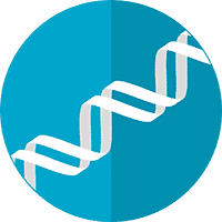 Icône représentant une double hélice d’ADN utilisée pour symboliser les analyses génétiques et les tests de paternité