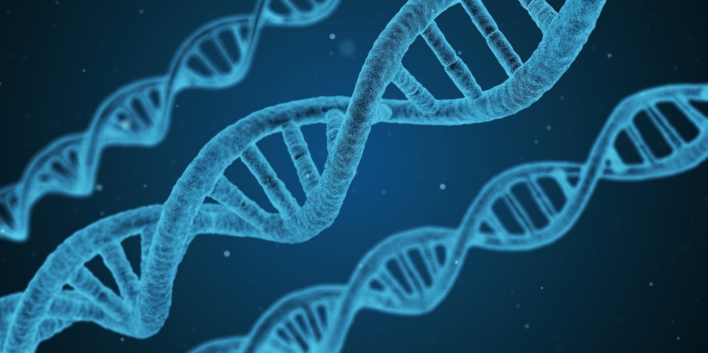 Tester Son Adn Pour Connaitre Ses Origines Le test ADN origine : tout comprendre sur ce test pour connaître ses
