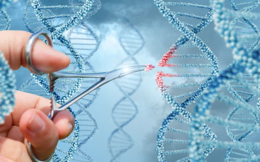 Les différentes maladies détectables à la suite d’un test ADN