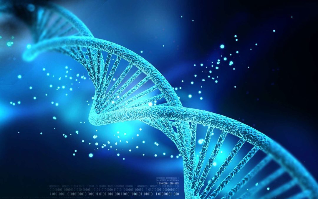Déroulement de la comparaison de deux séquences d’ADN