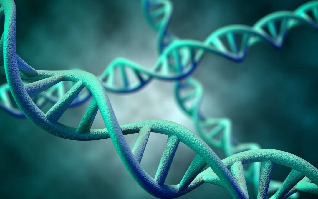 Connaissez-vous votre patrimoine génétique ? 