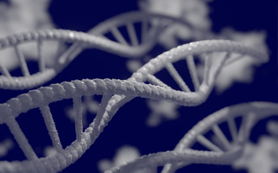 Polymorphisme génétique