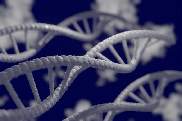 Polymorphisme génétique