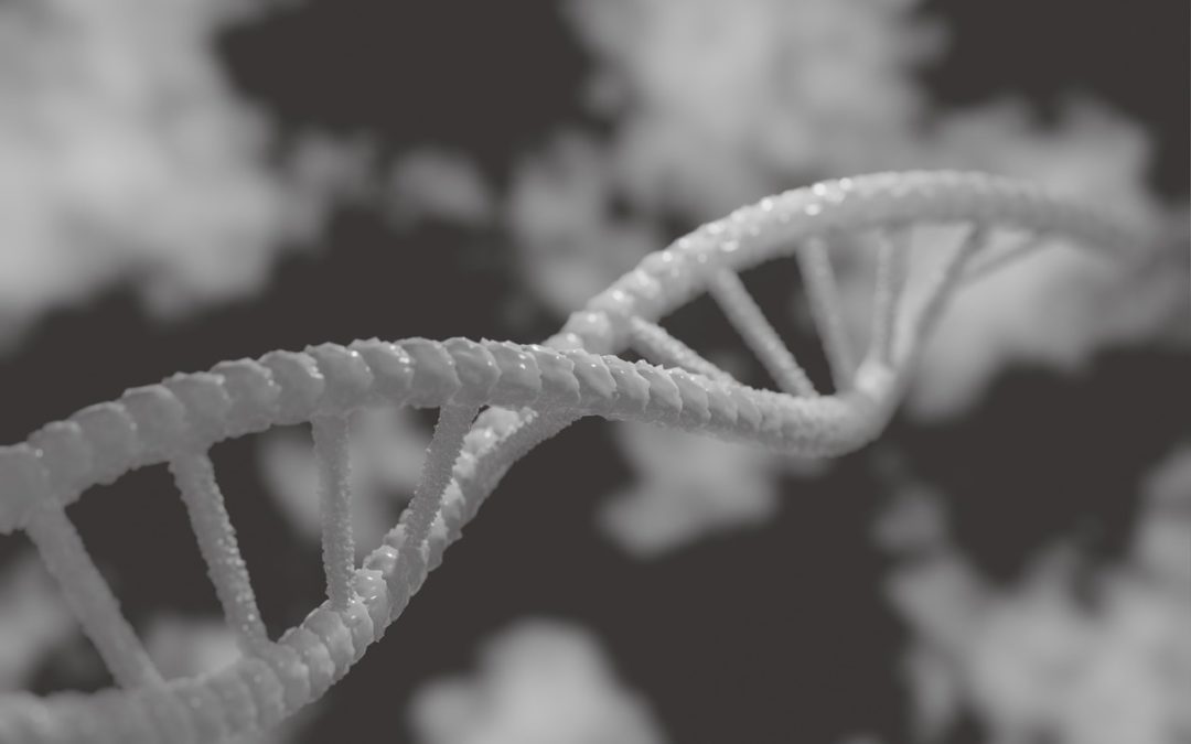 Les conséquences et les enjeux de la prédisposition génétique