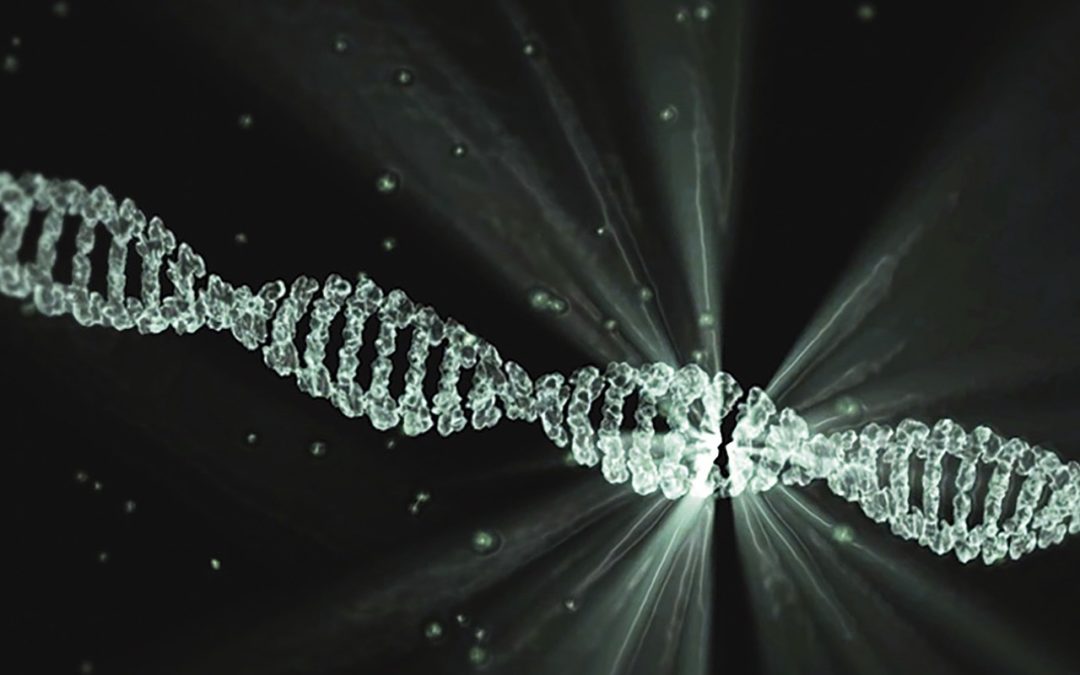 structure adn