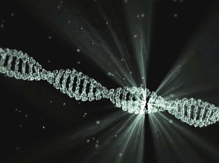 structure adn