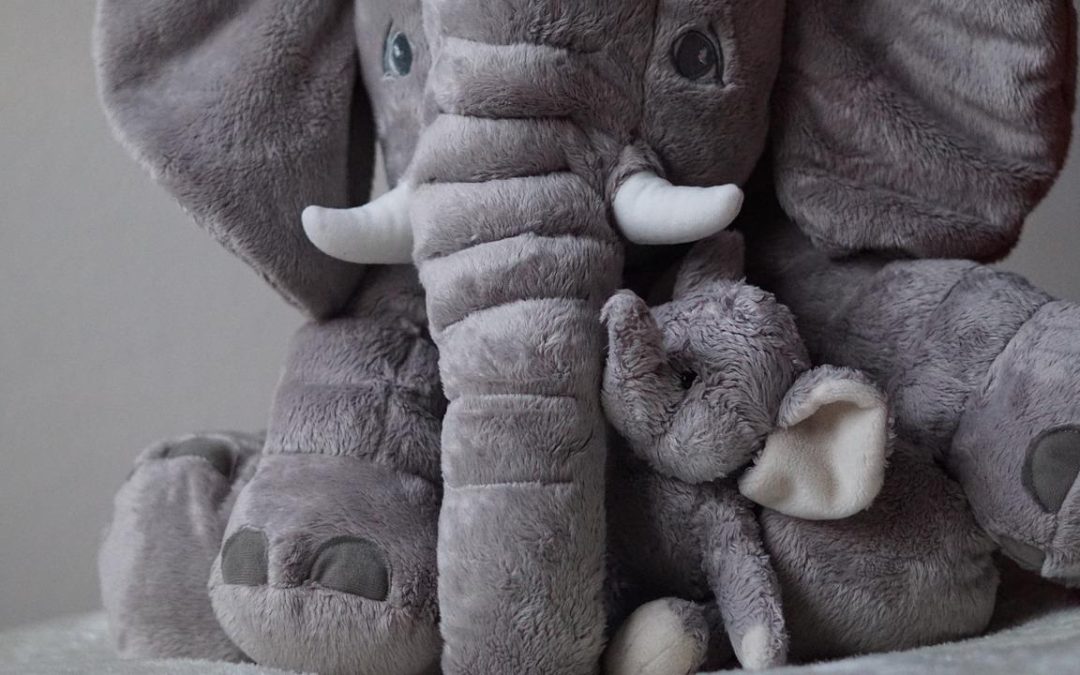 peluche
