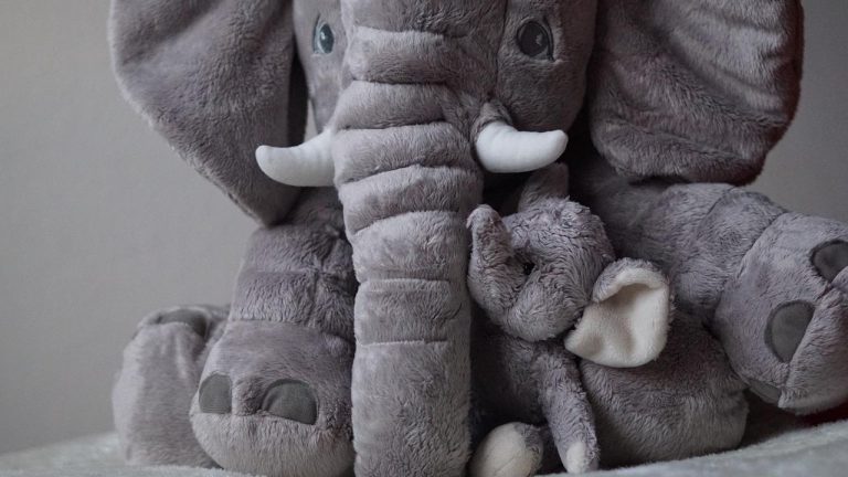 peluche