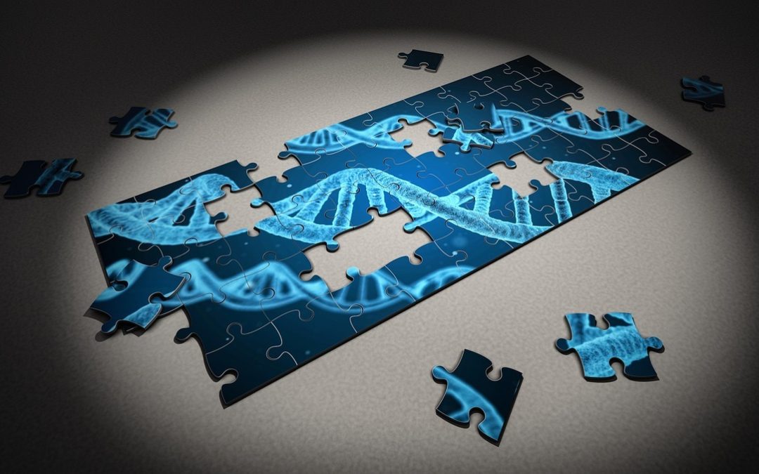 puzzle adn