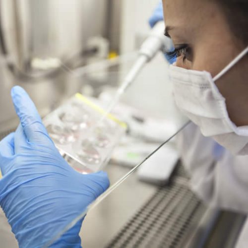 Technicienne de laboratoire analysant des échantillons ADN sur une plaque de tests